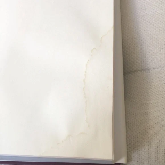 Reading Lolita in Tehran - Picture 4 of 4